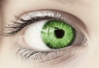 Apple_of_God's_Eye