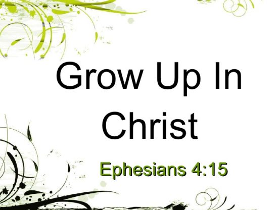 bertumbuh dalam kristus